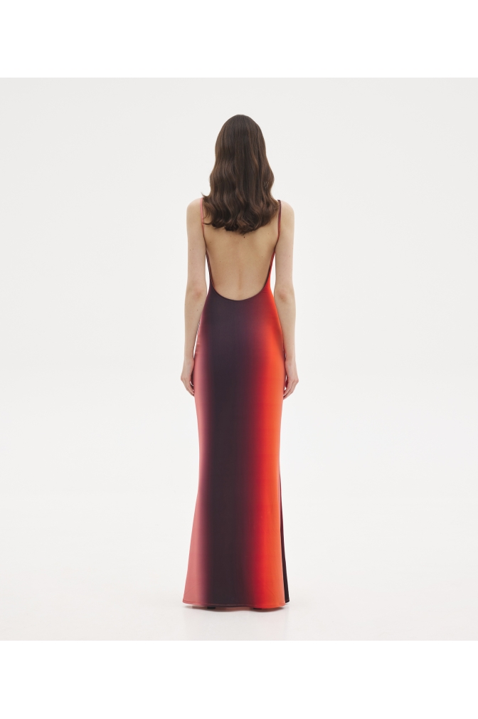 Sunsetgo Alema printed maxi dress